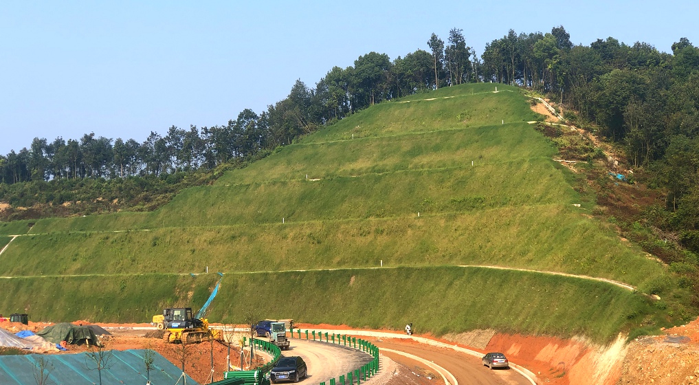 宜昌長江公路大橋新建猇亭服務區路塹邊坡綠化防護優化工程順利完工！
